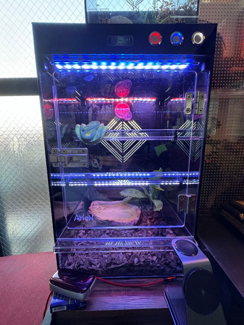 Arion GP45 爬虫類ケージ　クレステッドゲッコー・エメツリ等