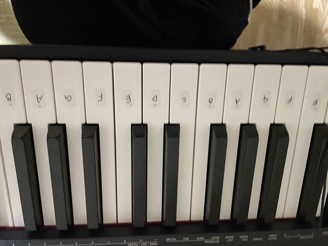 CASIO 88鍵盤 電子ピアノ