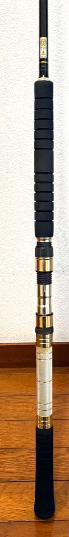 剛樹Gチーム マダイS 300 10ft GOUKI G team