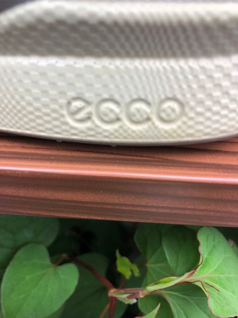 335番 美品ECCO バイオム ゴルフシューズ 38 24.0cmスパイクレス