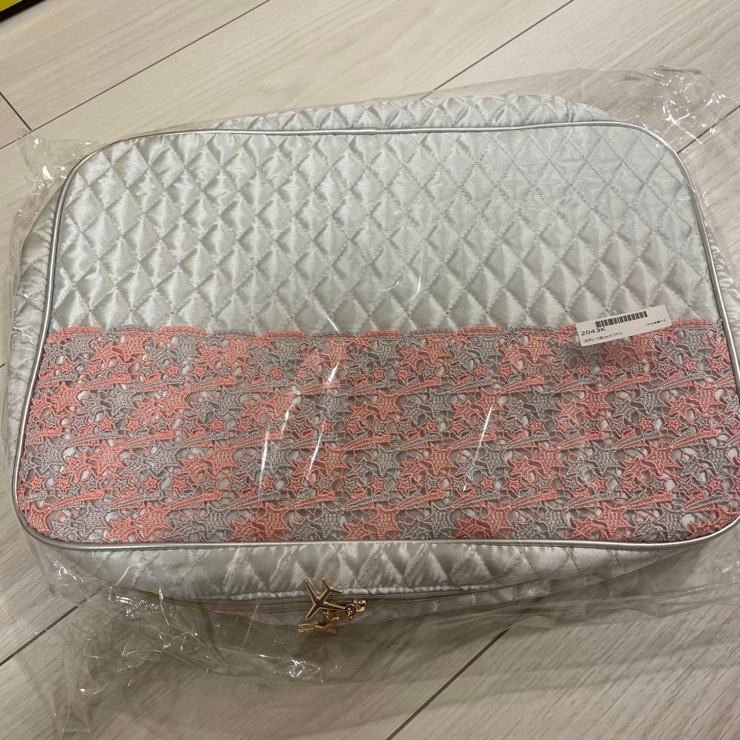 【新品】JALオリジナル　近沢レース　トラベル衣類ケース