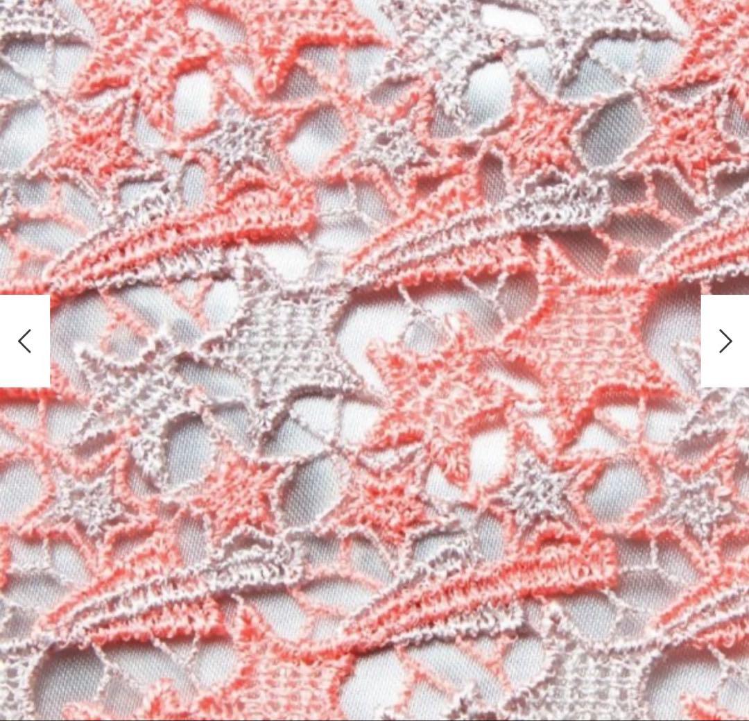 【新品】JALオリジナル　近沢レース　トラベル衣類ケース