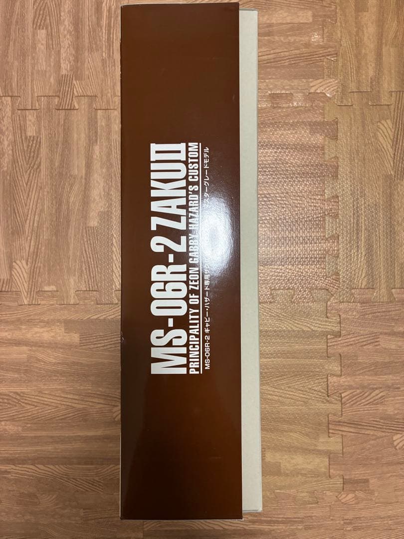 ギャビーハザード　専用ザクII 1/100 マスターグレードモデル MG