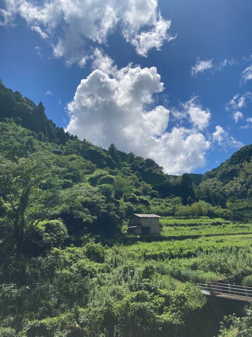 はなえみ　日本蜜蜂　ニホンミツバチ　生ハチミツ　蜂蜜　1120g