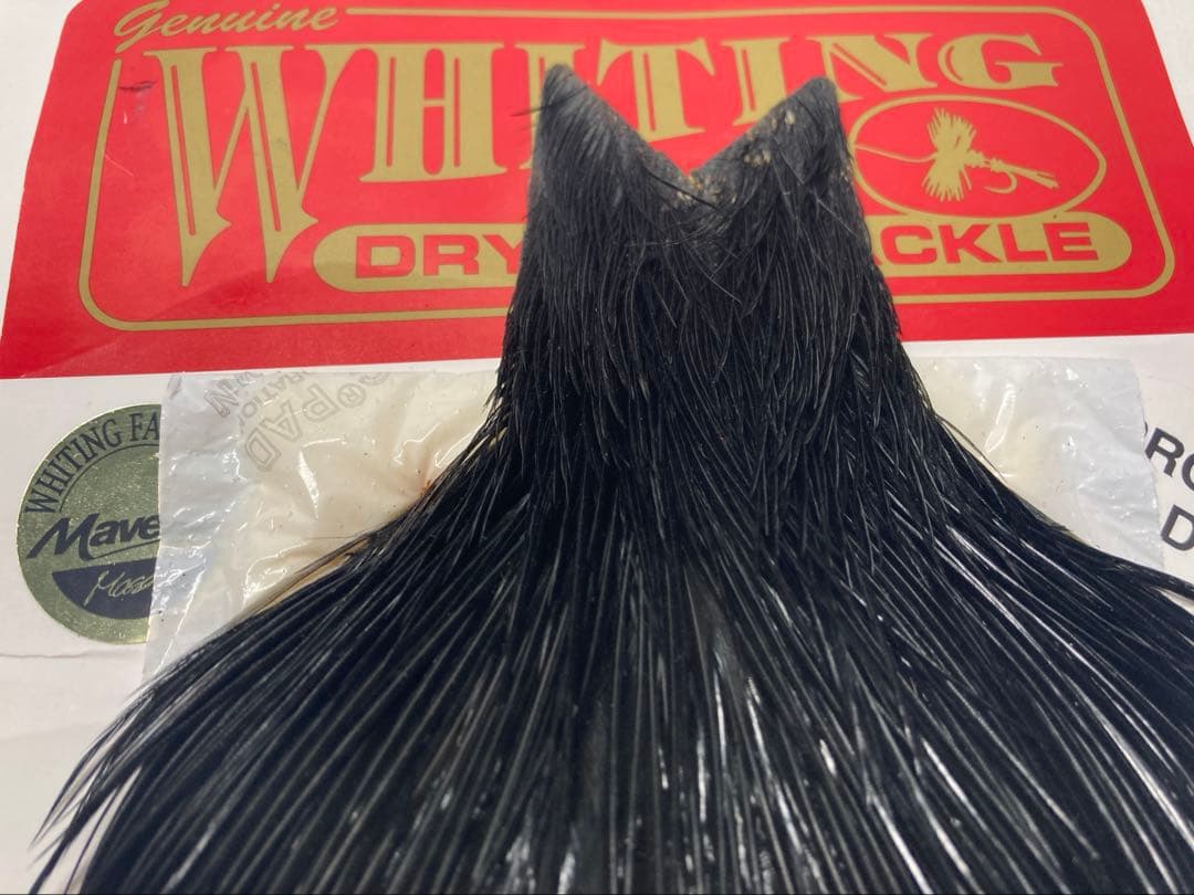 ホワイティング コック ハックル【ブラック】　プログレード