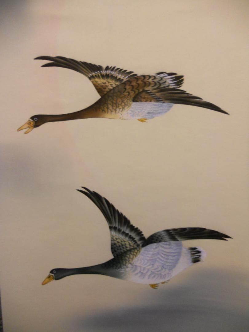 掛け軸 高木春石 月に雁 絹本 希少 軸装 茶道具 掛軸 新品 未使用品 です。