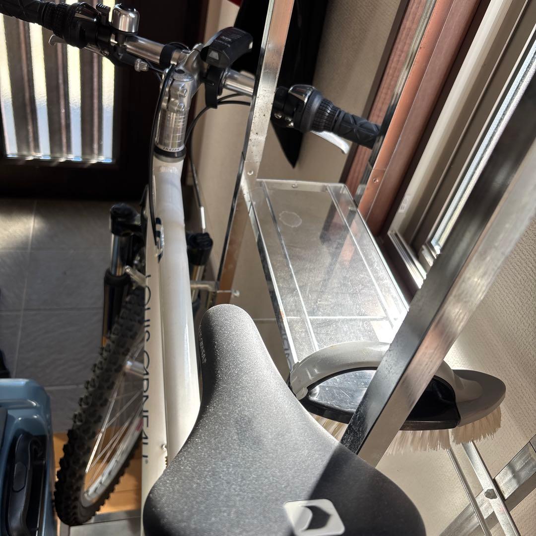 ルイガノ　24インチ　子供用　自転車　白　ライト付き