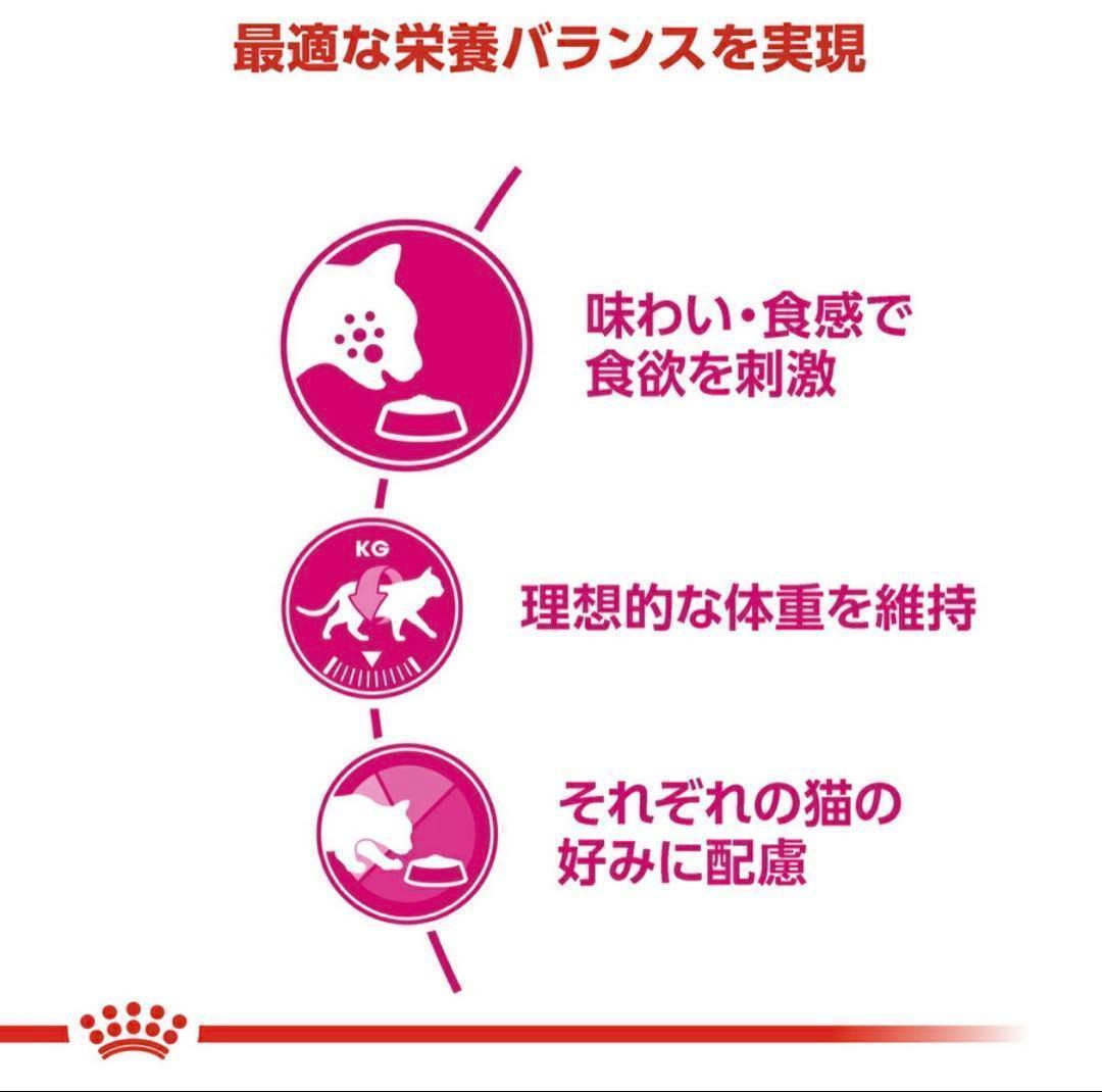 【未開封】ロイヤルカナン　セイバーエクシジェント　猫用(2KgX2)