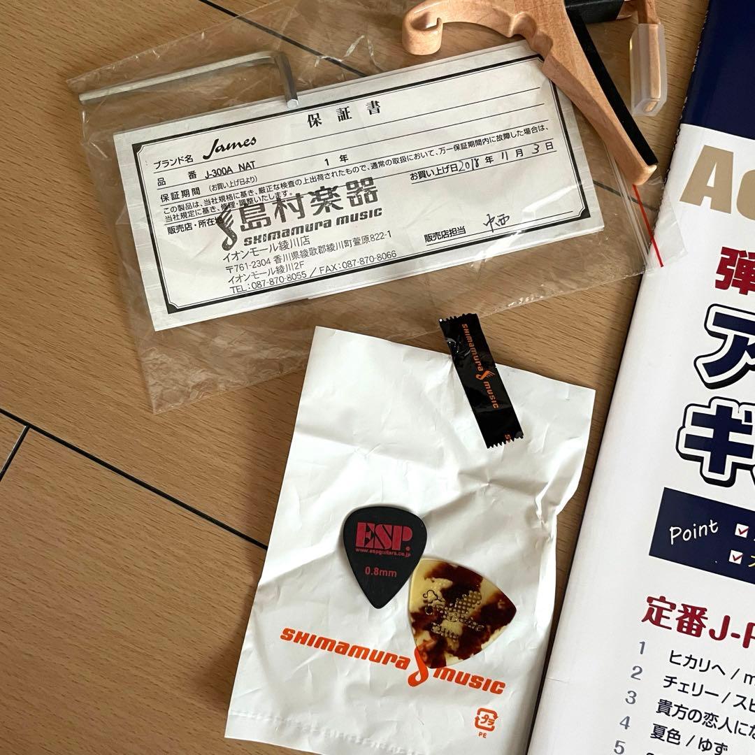 【未使用】アコースティックギター　初心者セット ギター James