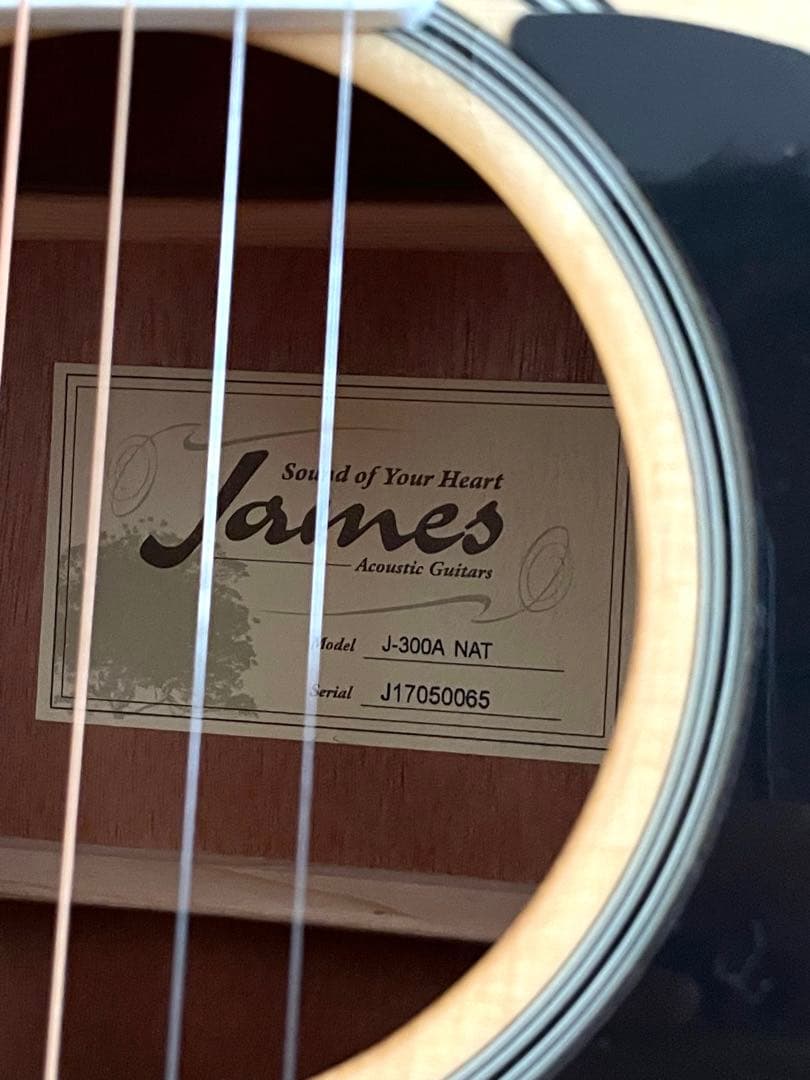 【未使用】アコースティックギター　初心者セット ギター James