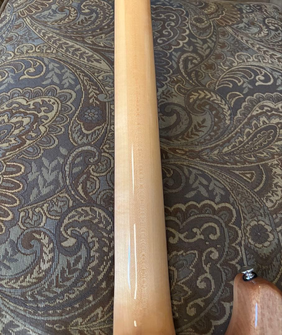 ギター PRS SE Custom 22 Semi-Hollow