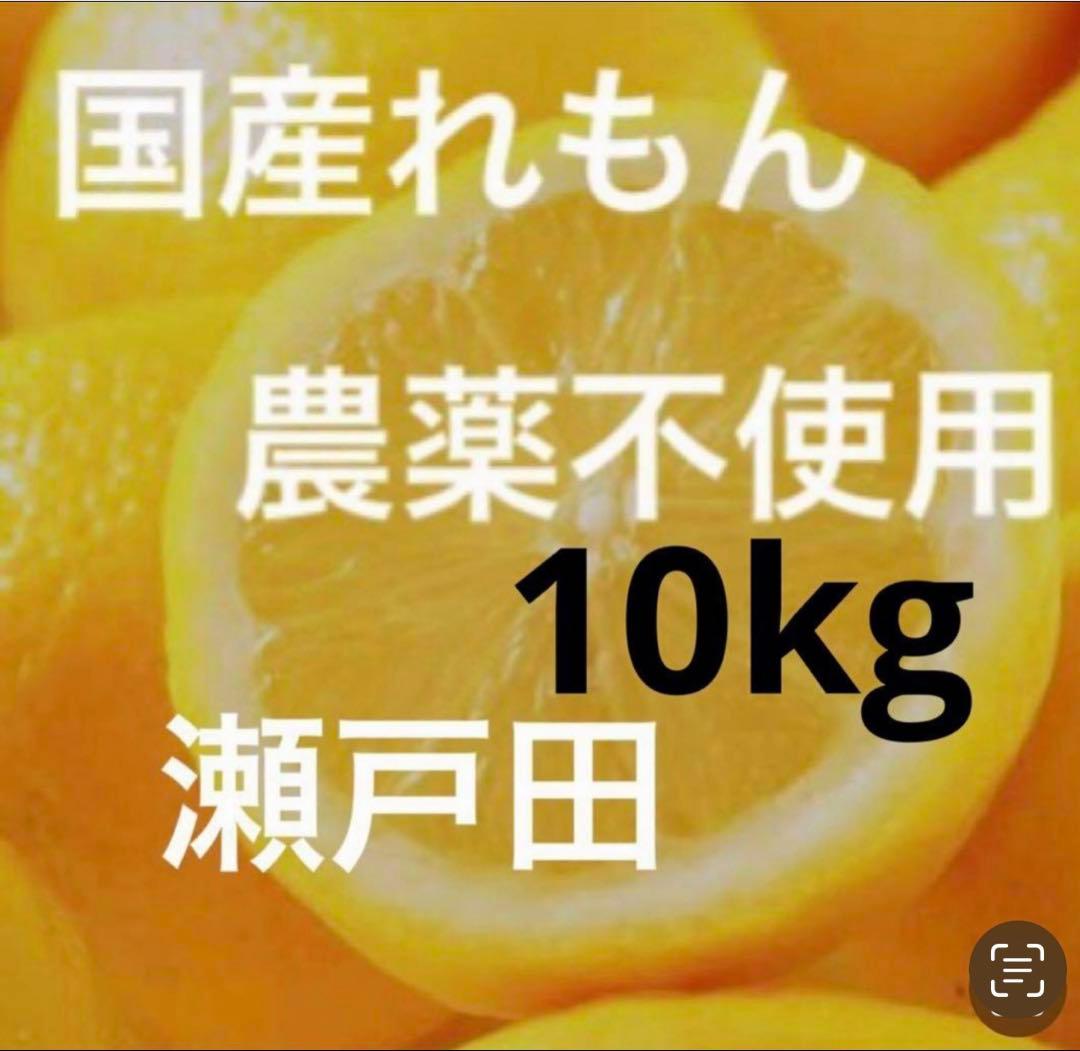 国産瀬戸田レモン10kg.