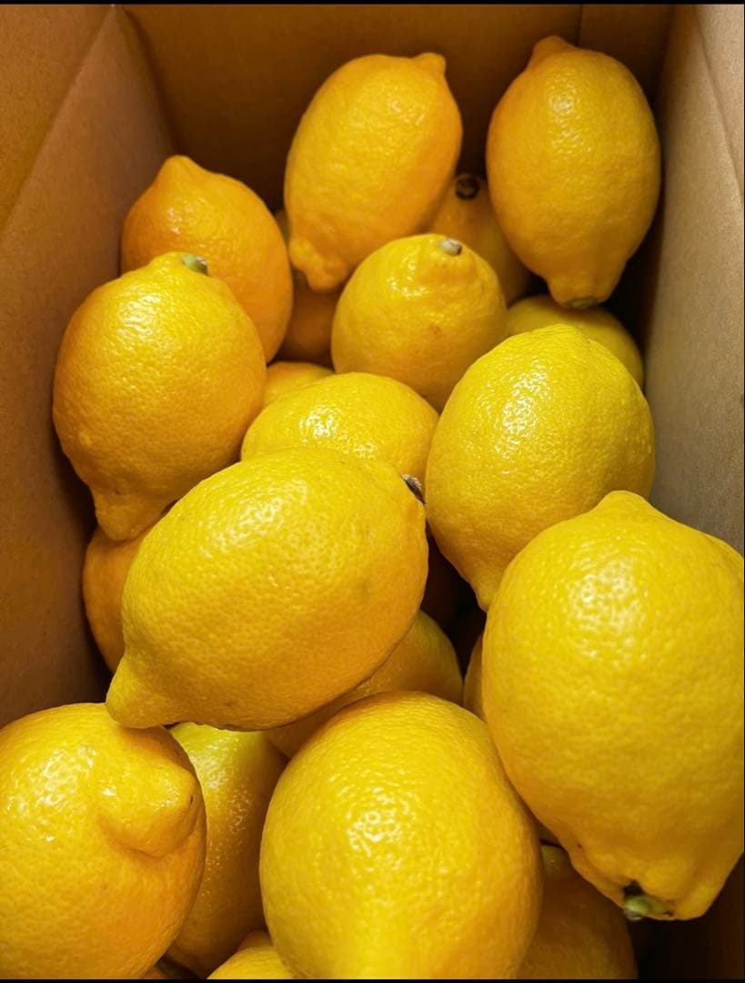 国産瀬戸田レモン10kg.