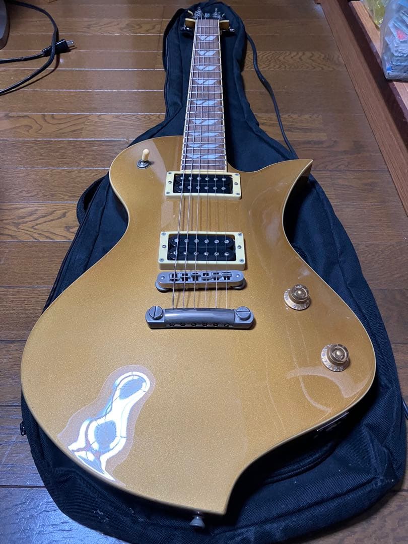 Fernandes Ravelle ギター