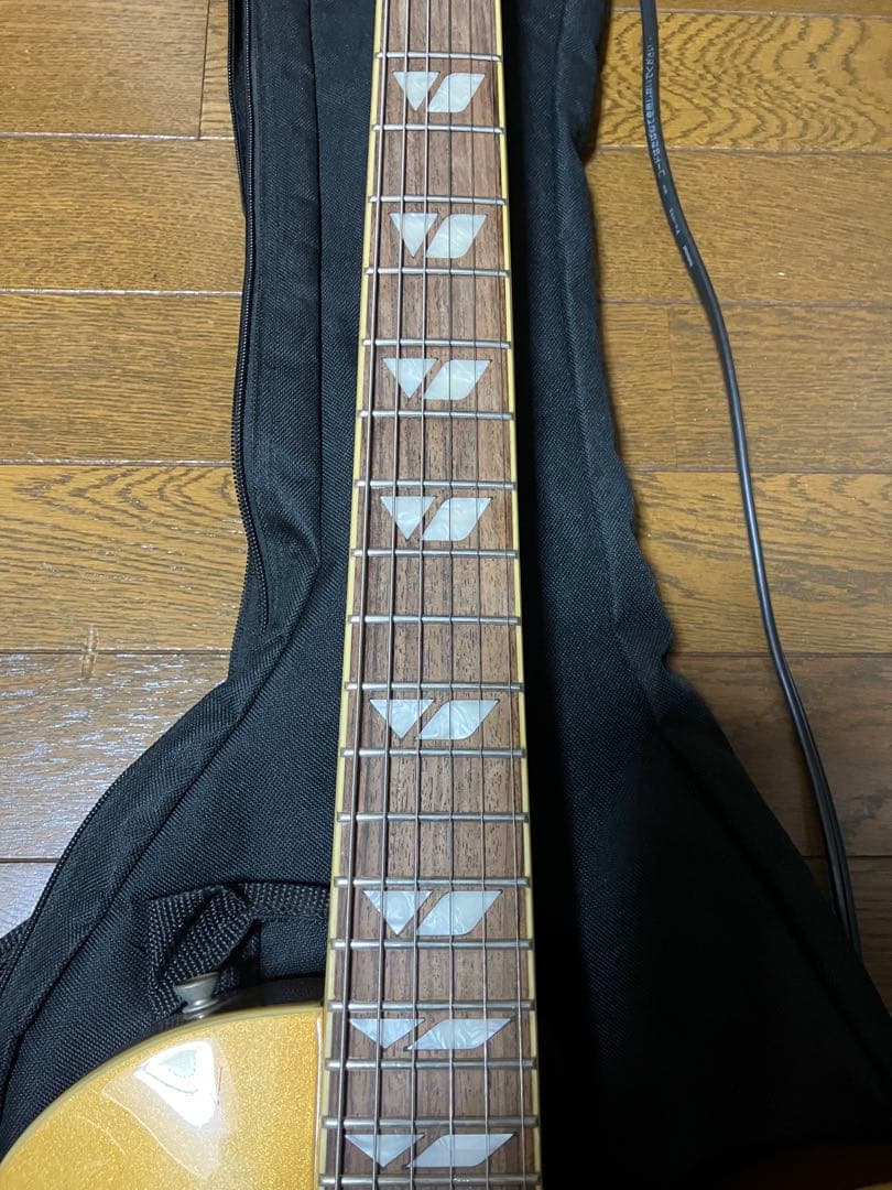 Fernandes Ravelle ギター