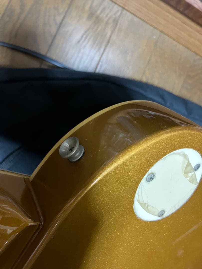 Fernandes Ravelle ギター