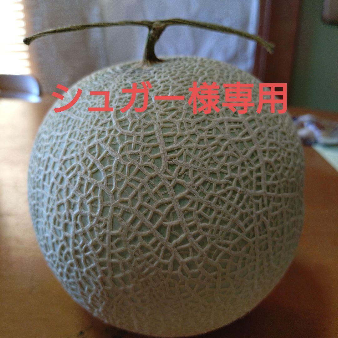 高知県産　ネットメロン2個