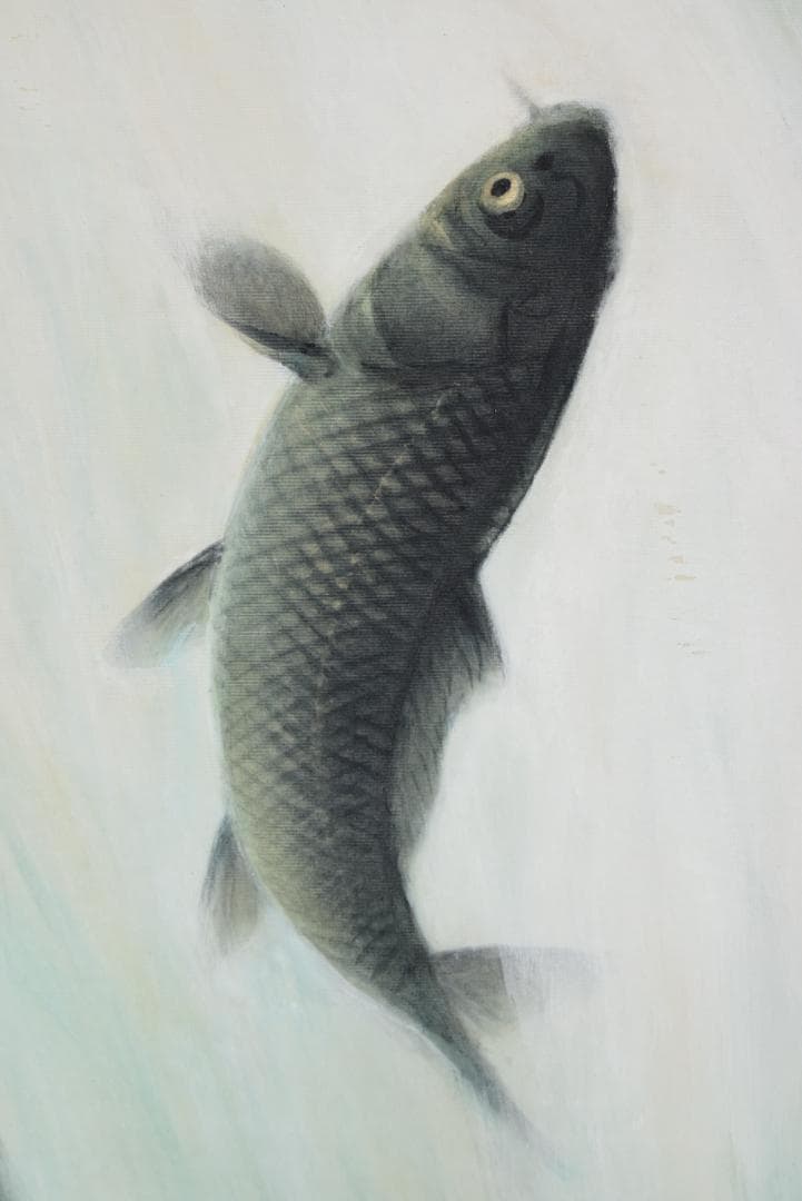 【真作】山本紅雲/鯉滝昇図/滝登鯉/飛鯉図/掛軸☆宝船☆Z-698