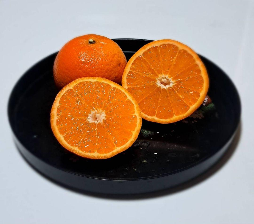 徳之島産家庭用たんかん10キロセット