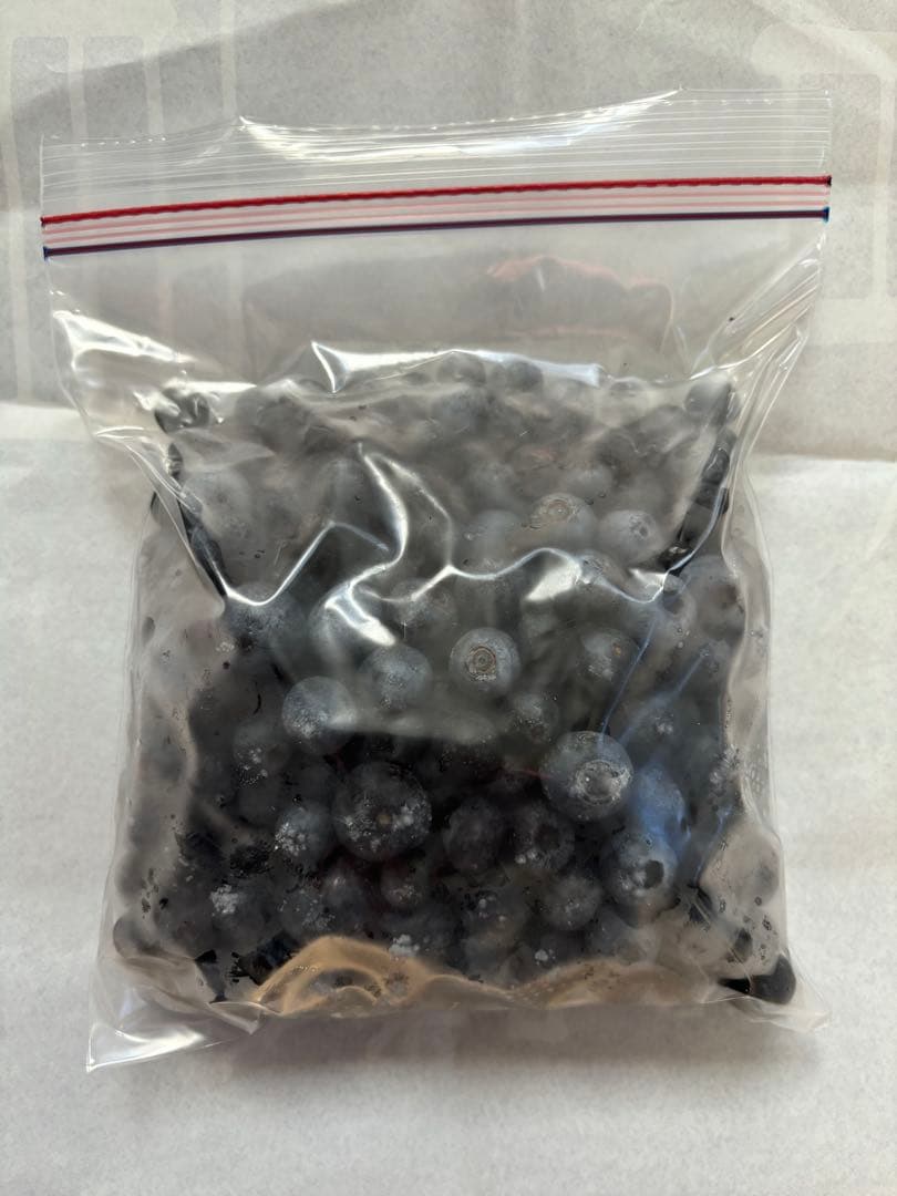 埼玉県産令和7年度　冷凍ブルーベリー9キロ