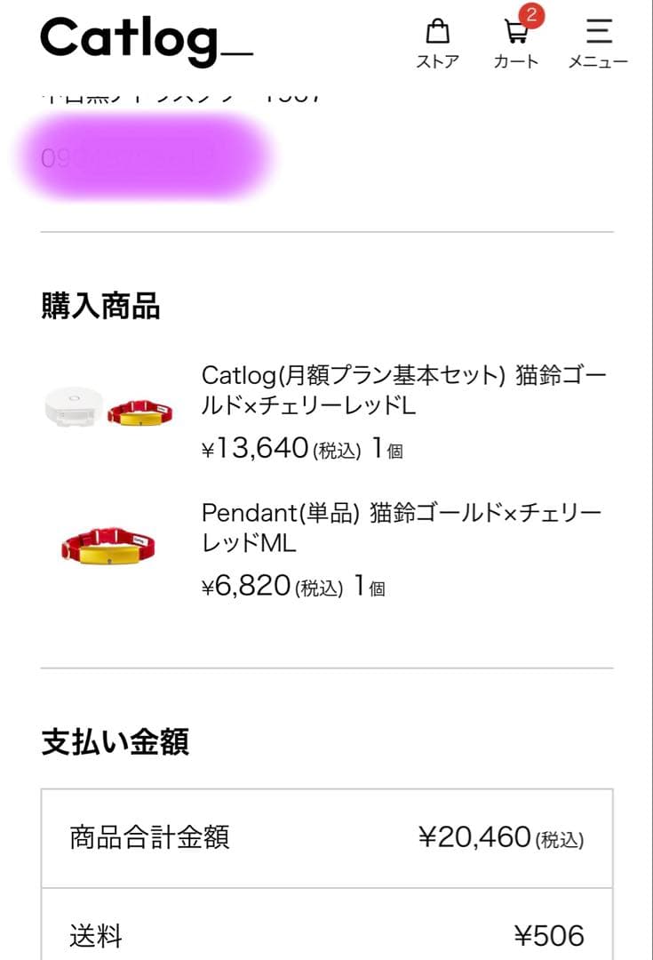 未使用 catlog  ＋超美品 pendant 2本　基本セット