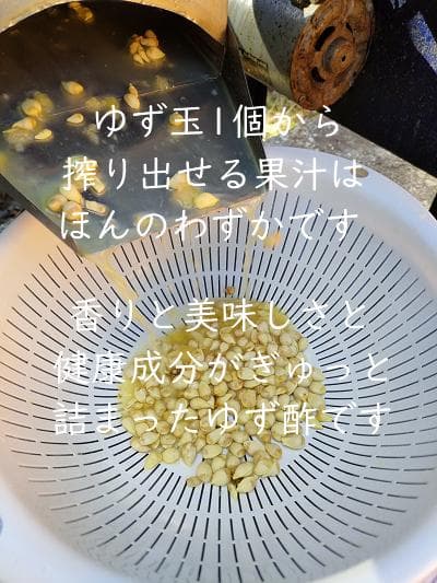 柚のや★送料込★高知県産ゆず酢900ml 4本 熟しぼり★農薬不使用★柚子酢