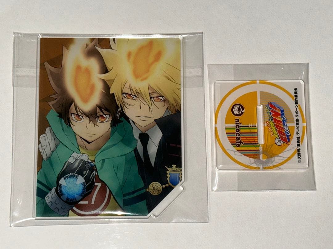 家庭教師ヒットマン REBORN 沢田綱吉　プリーモ アクリルスタンド