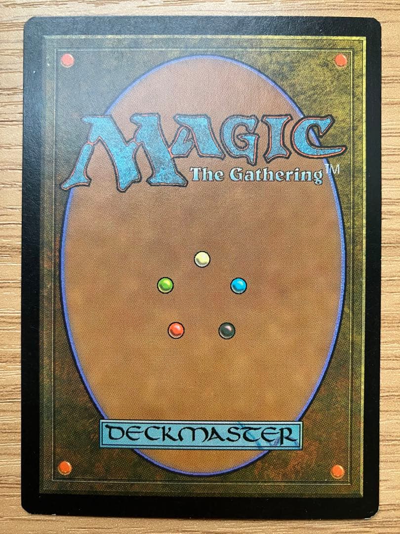 MTG セラの聖域 日本語版 1枚