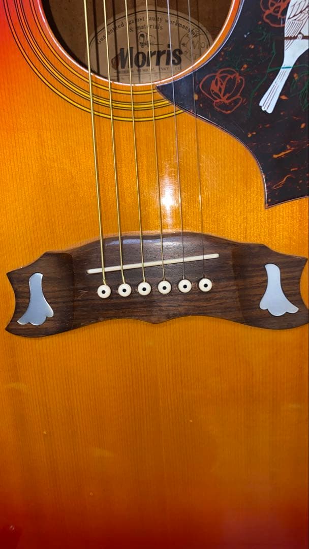 専用！morris モーリスWD25 DOVE モデルクリーニング済ケース無し