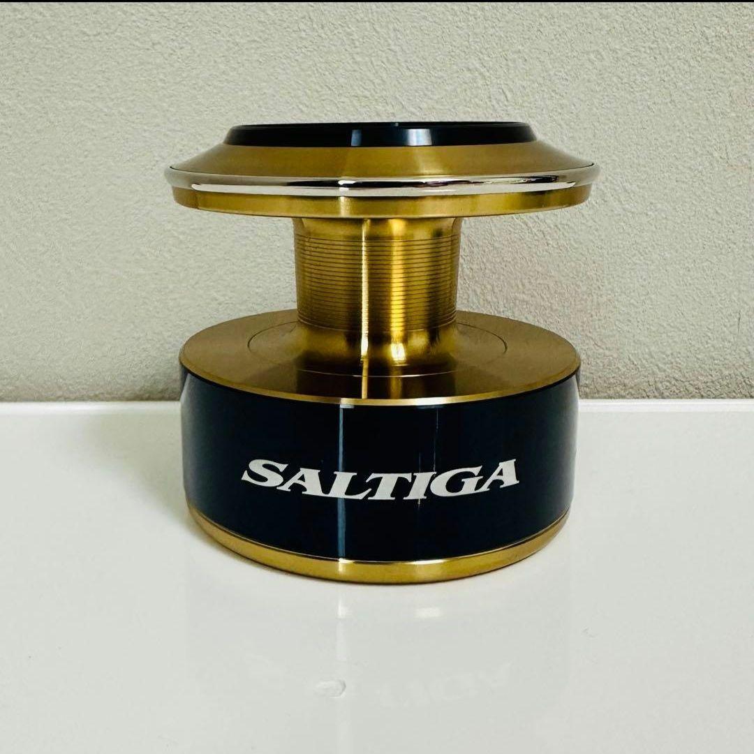 20ソルティガ 20000 スプール