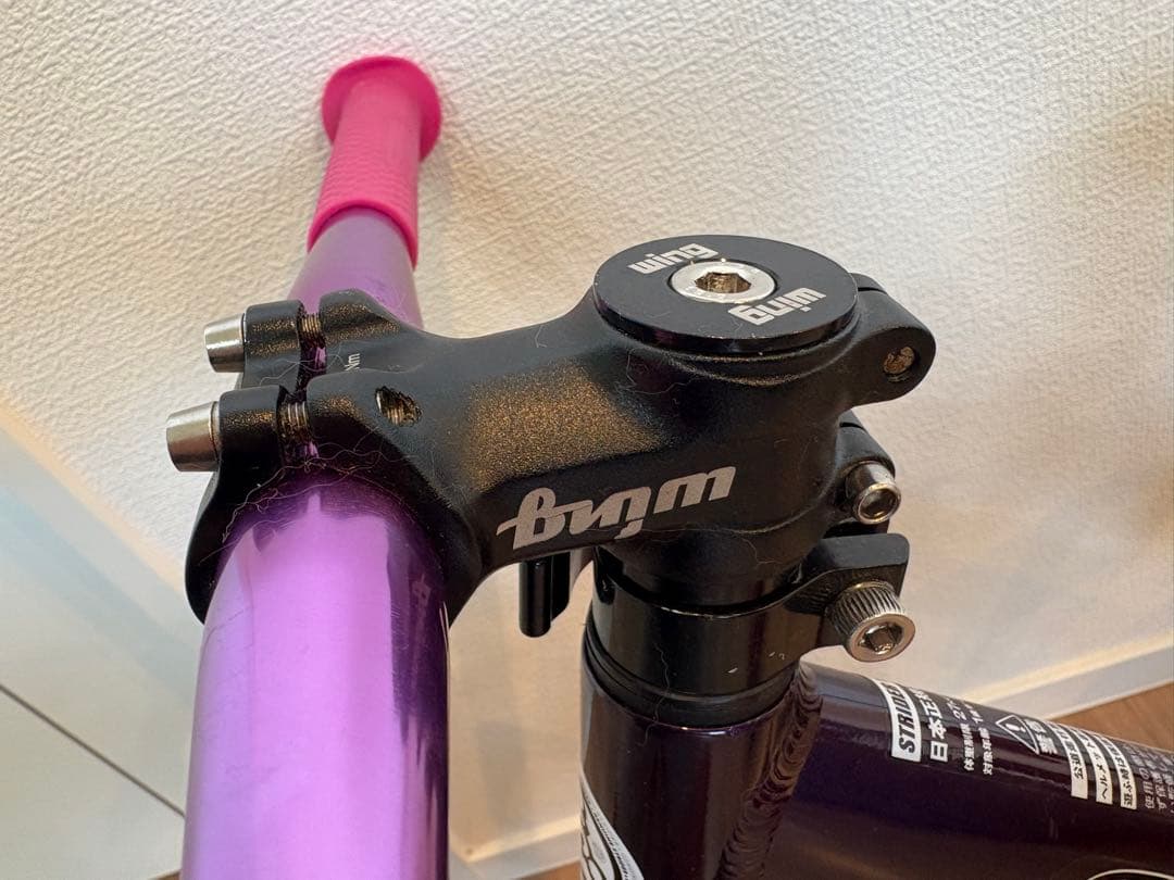 axa！STRIDER PRO ランバイク　カスタム済み