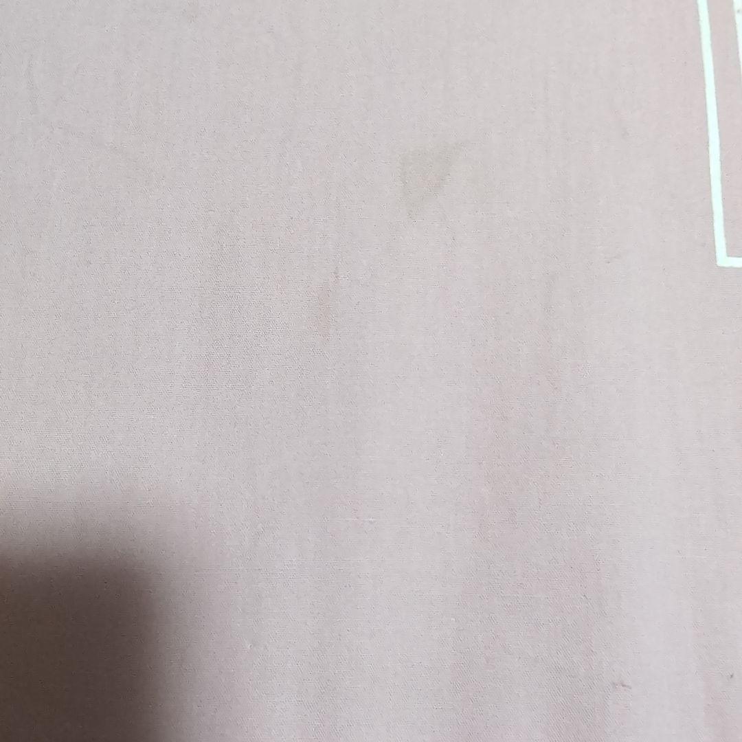 SHAKTI シャクティマット&枕　ピンク