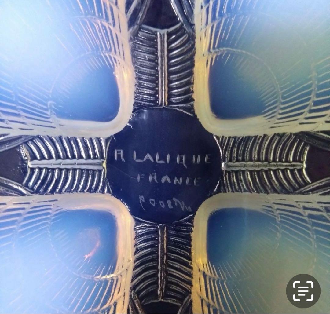 ルネラリック　オパルセント　コキーユ　30cm 大皿　希少