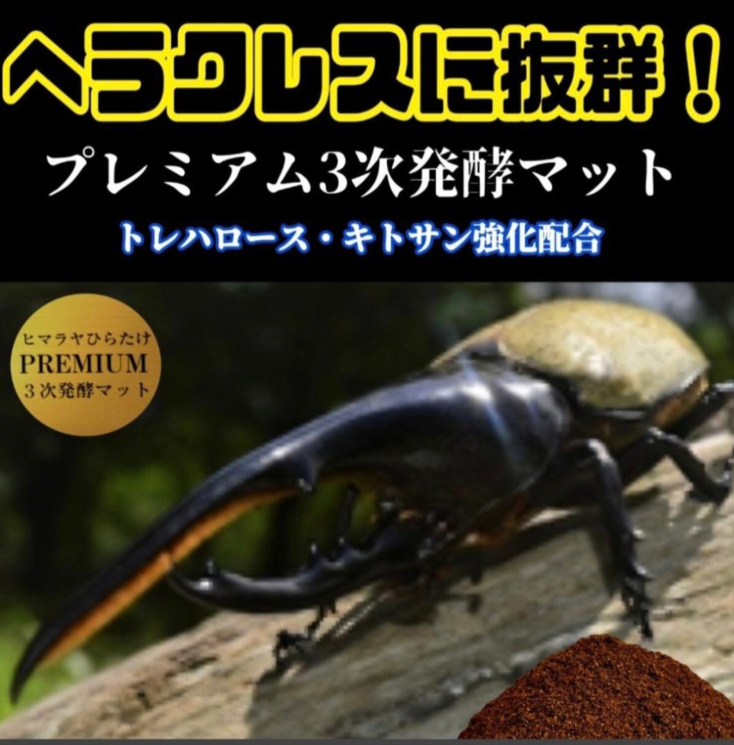 【２セット】カブトムシ幼虫を入れるだけ！プレミアム発酵マット入り㍑ボックス