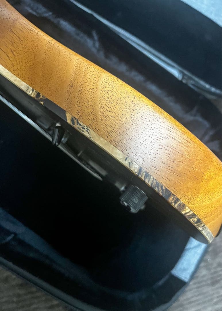 Mayones Hydra Elite 7 VF Trans Black 7弦