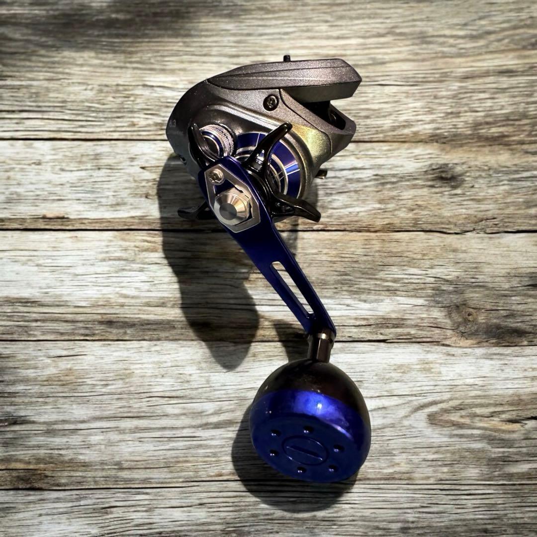 ダイワ(DAIWA) カウンター付 ベイトリール