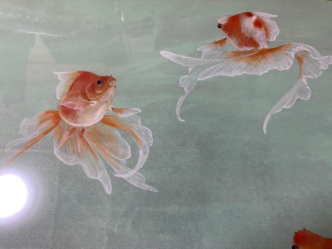 西野陽一　日本画　メヌエット　金魚　大作