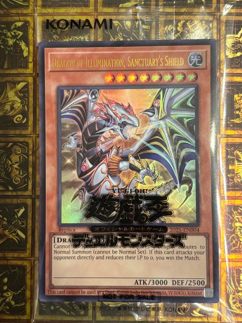 dragon of illumination 日本選手権　景品