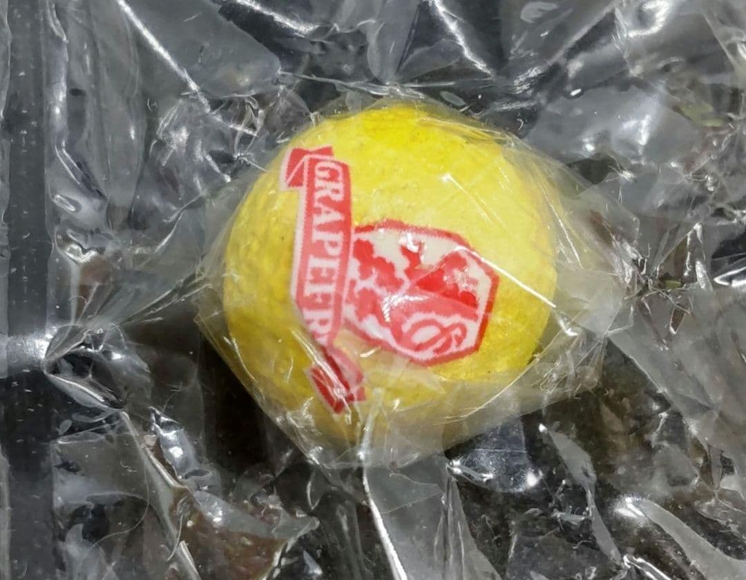 リーメント　ぷちやおやさん　⑨お見舞いにどう？♡