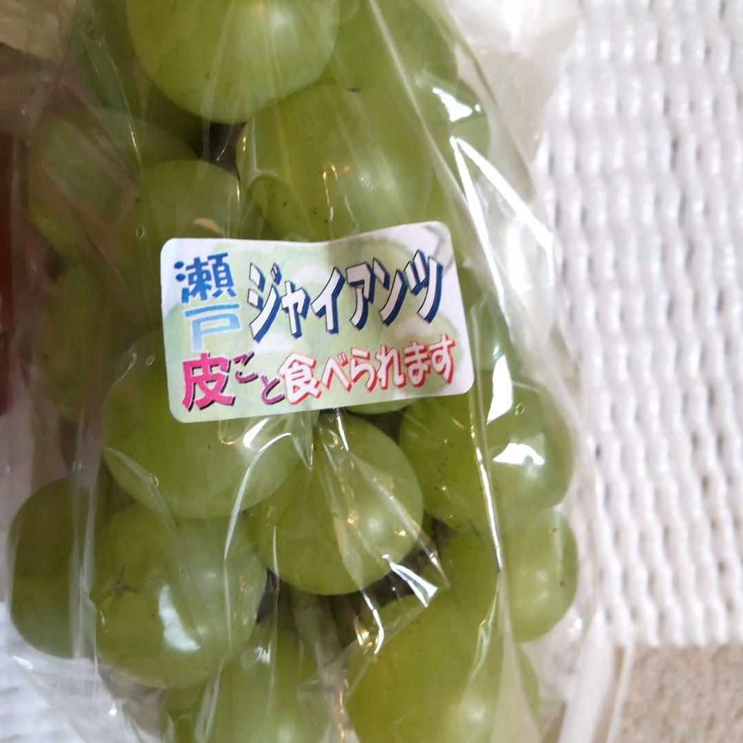 専用　富士の輝き　シャインマスカット　瀬戸ジャイアンツ　クイーンニーナ