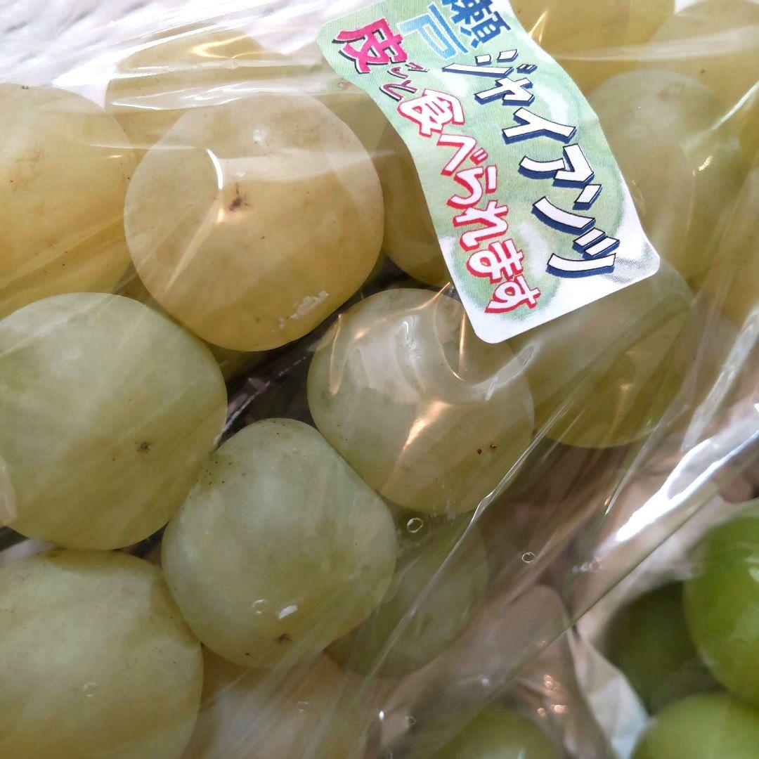 専用　富士の輝き　シャインマスカット　瀬戸ジャイアンツ　クイーンニーナ