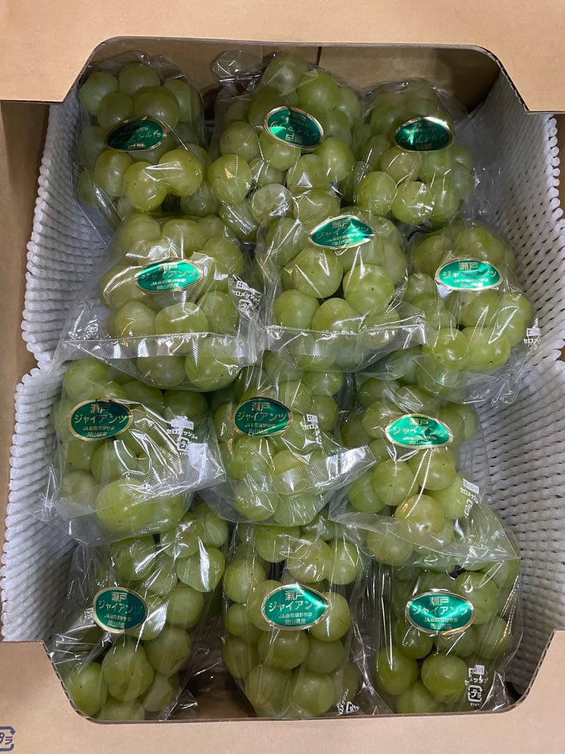 ⑧【岡山県産】瀬戸ジャイアンツ　7〜12房　約5キロ