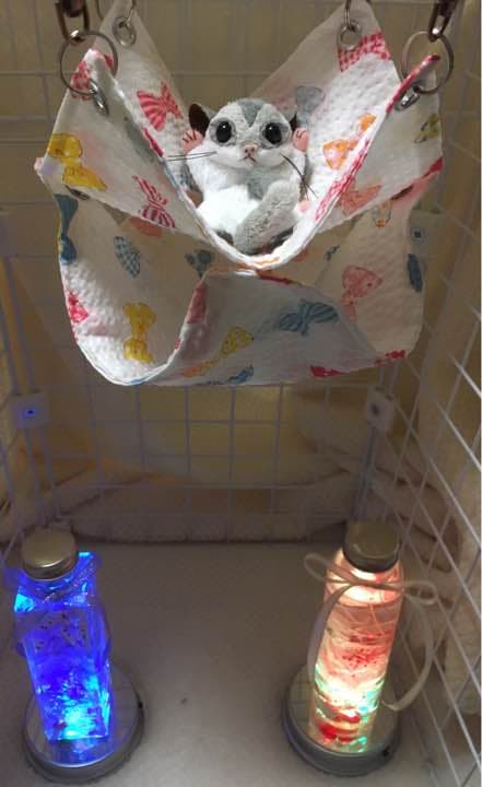 モモンガハウス（リボン柄）  夏仕様    涼しい夏生地を使用❗️ 1650円