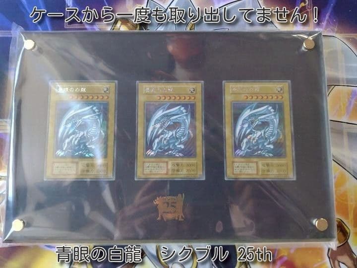 海馬セット　ディスプレイ　ケース　スクリューダウン　25th　ローダー