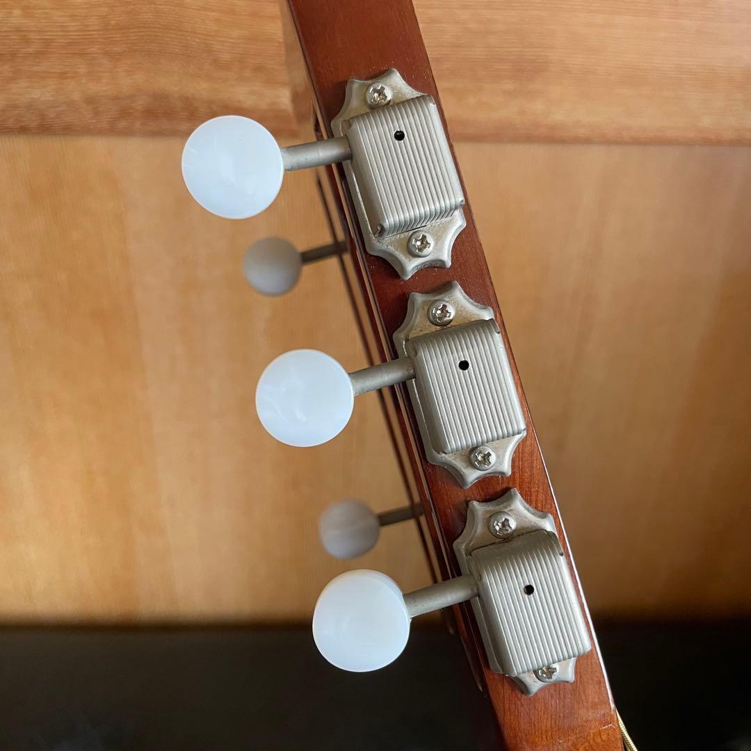 VINTAGE VN-00 パーラーギター ニューヨーカー ダブルオーサイズ