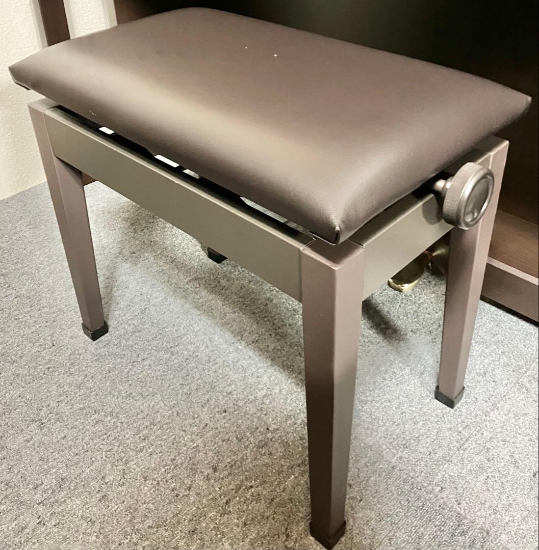 CASIO 電子ピアノ AP-460BN【無料配送可能】