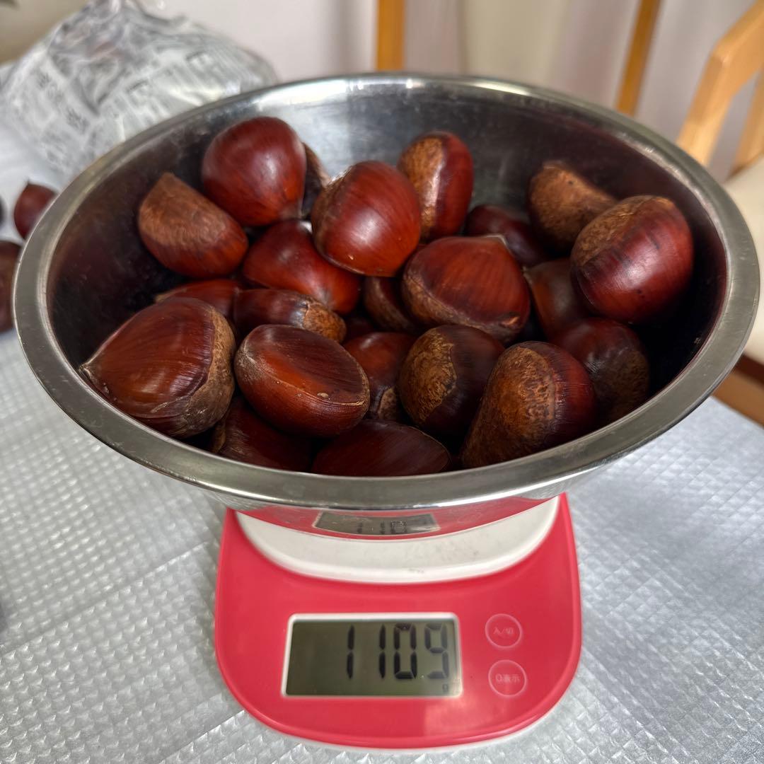 りょこ　10/29か30に発送