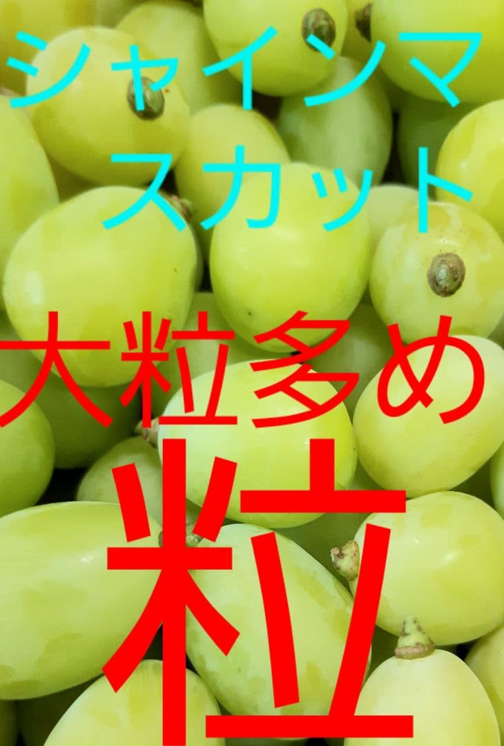 シャインマスカット大粒多め入りの、徳用11キロ入りの粒バック入りになります。