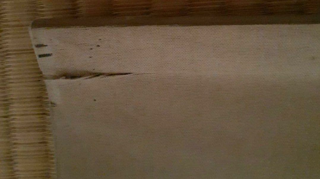 掛け軸/秋風景？/富士？