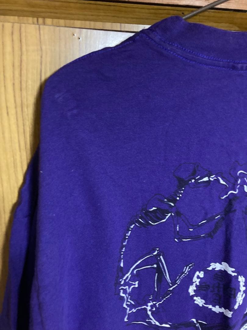 santa monica Tシャツ サンタクルーズ sims vision